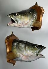 Zander Fish Head Taxidermy 