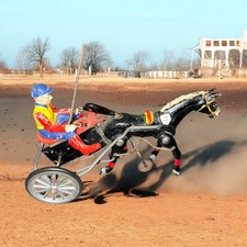 VTG Arabian Sulky Horse Racing Tin Wind-Up w/Original Box & Key, D.G.M.  WORKING