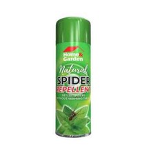 Home & Garden Natural Spider