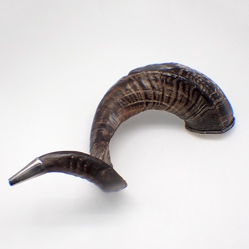 Scottish rams horn - scottish, snuff