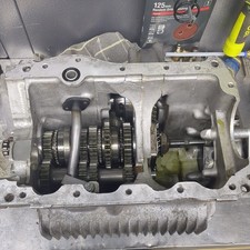 Classic Mini MED Straight Cut