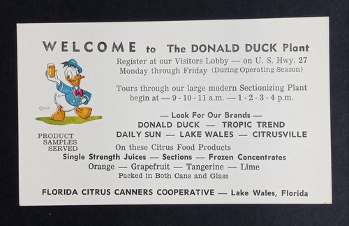 Donald duck plant lake wales - plant,