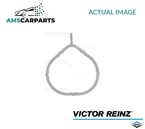 Intake manifold gasket - manifold,