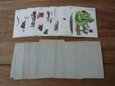 Somportex Weirdies Cards from