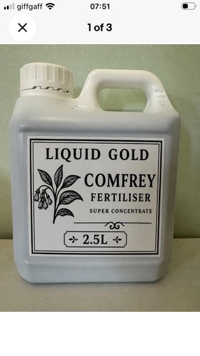 Comfrey concentrate organic - concentrate,