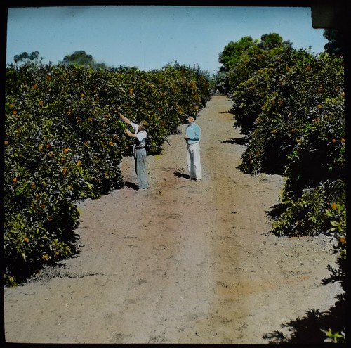 Magic lantern slide - magic,