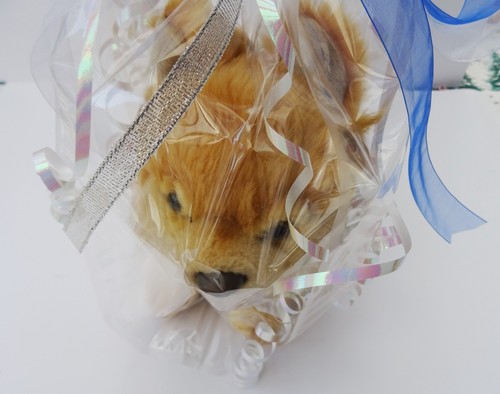 Pomeranian toy dog - pomeranian, 12"