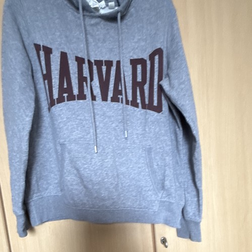 Harvard university grey hoodie - university,