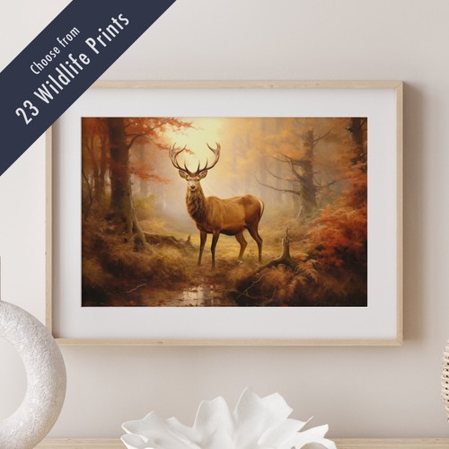 Fine art style wildlife - fine,