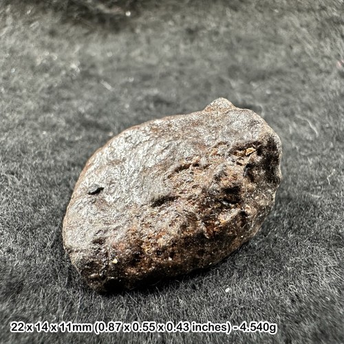 Common chondrite high iron - h5,