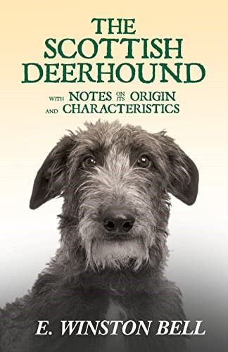The scottish deerhound with - deerhound,