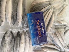 Frozen Sea Fishing Bait