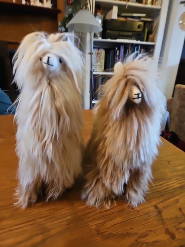 Alpacas ornaments house - ornaments,