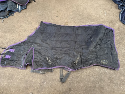 Gallop stable rug 200g - stable,