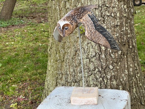 Hand carved and painted flying - hand,