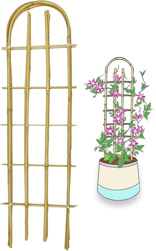 Bamboo trellis shape 3feet - trellis, u-shape