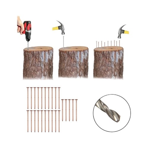 Copper nails for tree - nails,