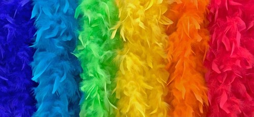 Deluxe feather boa fun - fun, party