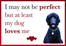 Funny My Dog Loves Me BLACK POODLE Dog Vinyl Car Van Sticker Pet Animal Lover 