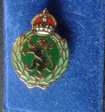 MILITARY ENAMEL LAPEL BADGE