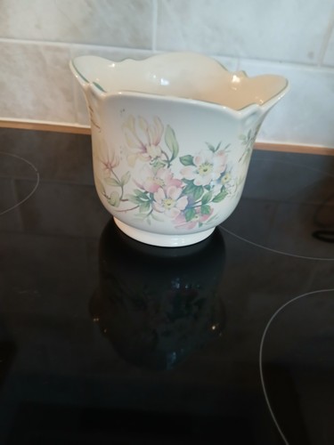 1977 royal winton plant - 1977, pot