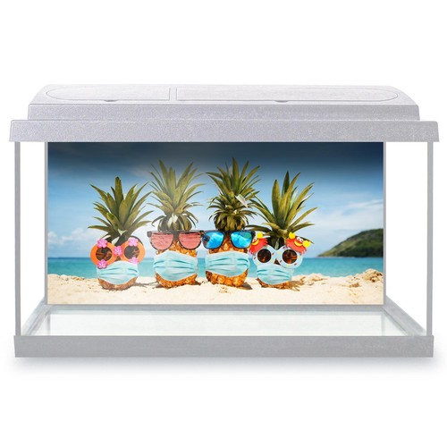 Fish tank background - tank,