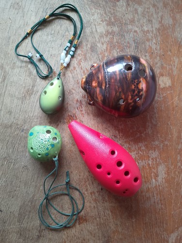 Ocarinas songbird seedpod - 4x,