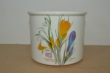 Portmeirion Botanic Garden - Medium 6" Plant Pot - Crocus / Snowdrop (#S1)