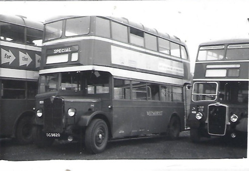 Bus photo dg9820 wilts - bus,