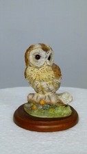 Border fine arts Tawny Owl