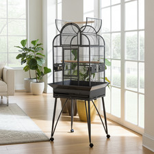Skyline tall vertical bird - vertical,