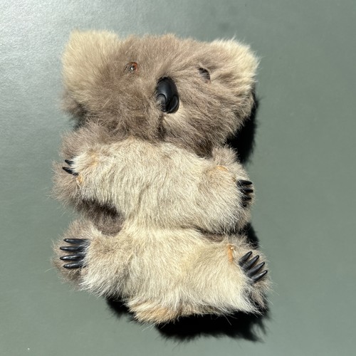Vintage koala bear soft toy - bear,
