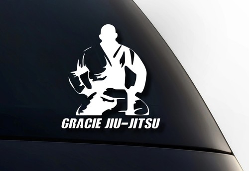 Gracie jiu jitsu - jiu-jitsu, practitioner