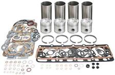 David Brown 30D, 880, 900 ,950 Implermatic Engine Overhaul Kit- Straight Liner