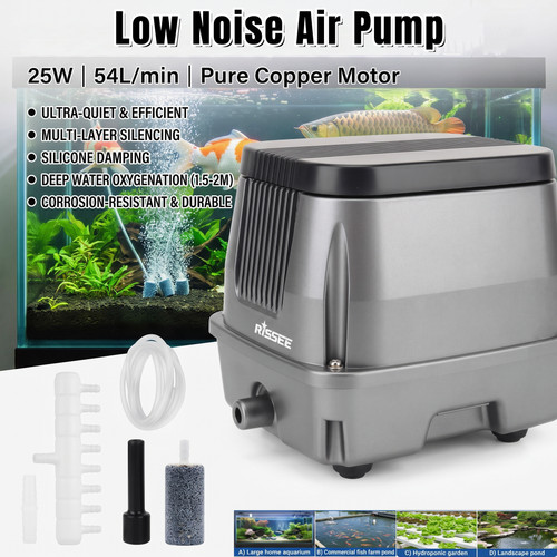 Sap low noise - noise, air