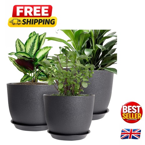 Chic self watering plastic - chic, self-watering
