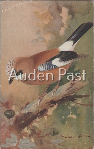 Vintage roland green jay - green, bird