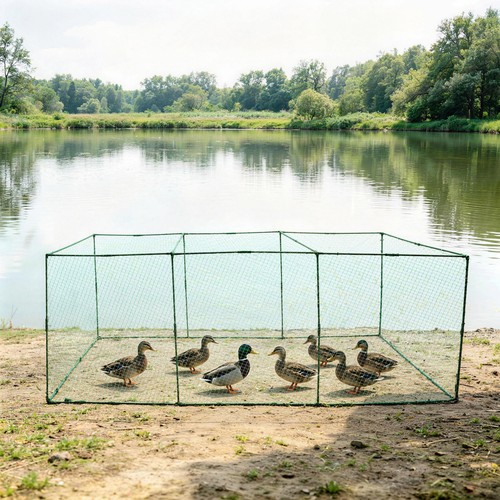 Chicken tunnel portable - chicken,
