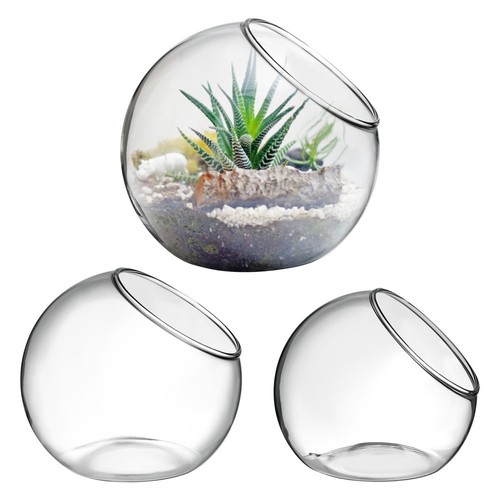 Pcs terrarium kit plants - 3,
