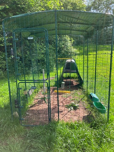 Omlet eglu coop and - eglu,