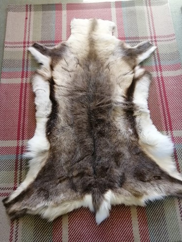 Genuine reindeer hide - reindeer,