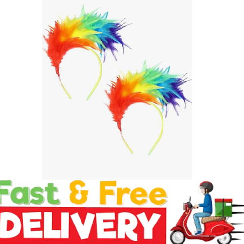 2pieces rainbow feather - 2pieces,