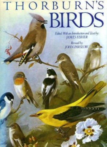 Thorburn birds archibald - thorburn's, birds,archibald
