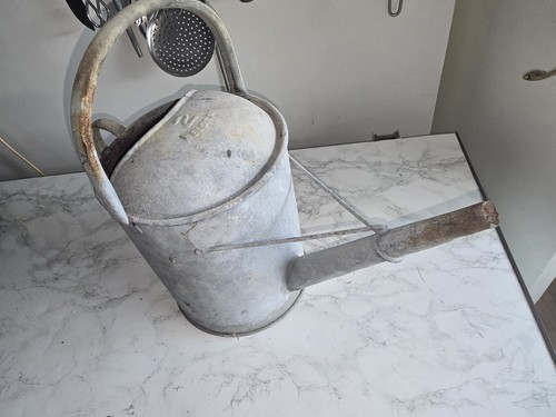 Vintage galvanised watering - galvanised,
