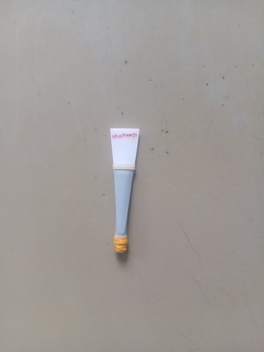Bagpipe practice chanter reeds - chanter,