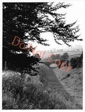 Disused Railway Track Bridge Train Photograph (1798) 6.5”x 8.5”