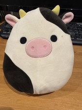 Connor the Black & White Cow