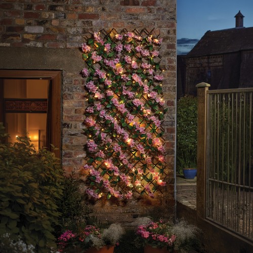 Solar lit pink - pink, blossom