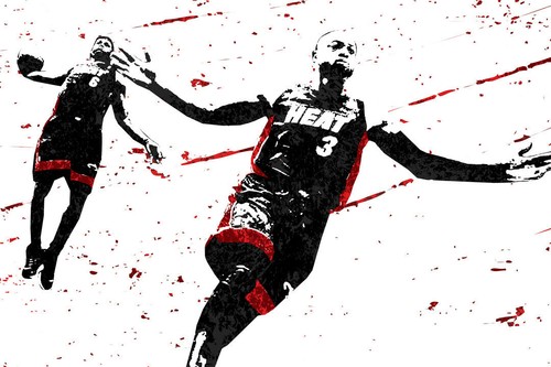 358648 dwayne wade lebron - wade,