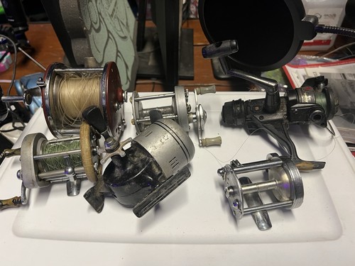 Lot penn peer - , fishing